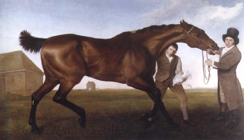 George Stubbs hambletonian,rubbing down France oil painting art